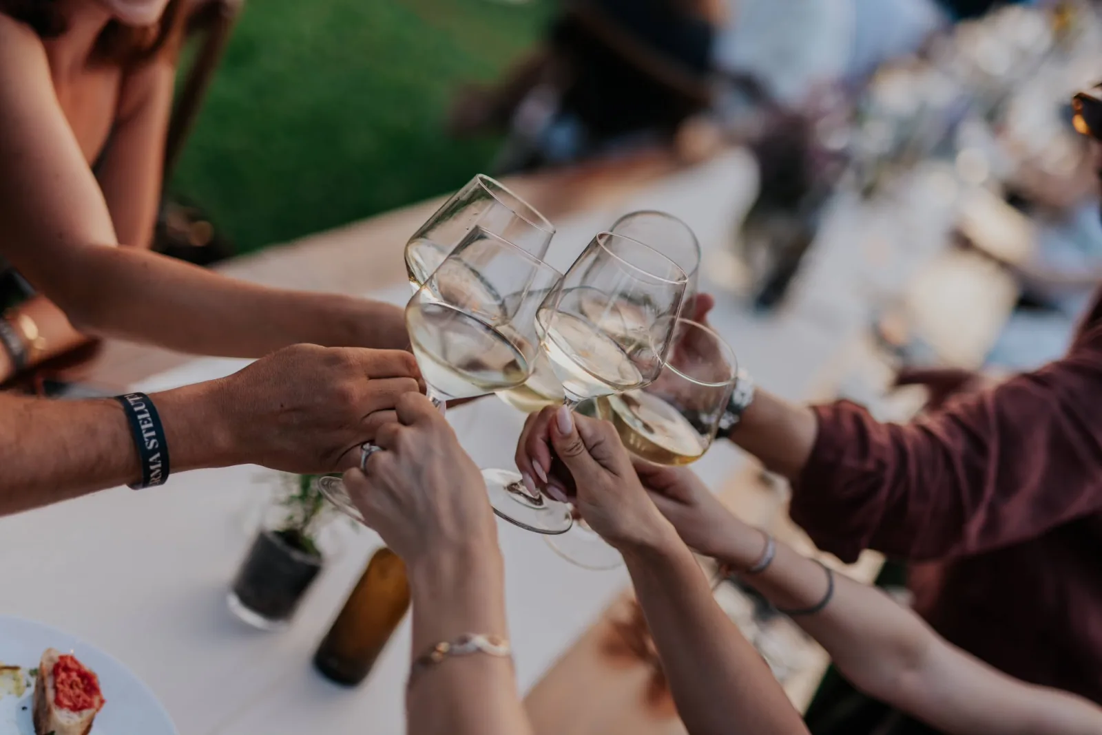 Invitați ciocnind pahare de vin la un eveniment la Echoes of Vlădicu